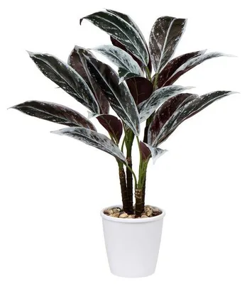 Immagine prodotto di Cordyline Fruticosa artificiale, pianta decorativa tropicale in vaso bianco per soggiorno e ufficio