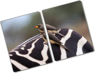 Produktbild von Tulup Glas Herdabdeckplatte - 2x40x52 cm - Glaskeramikkochfeld-Abdeckung Spritzschutz Glasabdeckplatte Kochplattenabdeckung und Schneidebrett - Zweiteilig - Tiere - Vögel und Zebra - Grau