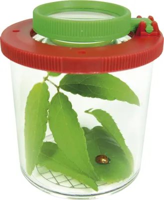 Produktbild von Lupendose groß
