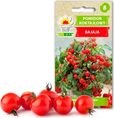 Produktbild von Toraf Gemüsesamen Bajaja Kirschtomate, Packung 0,3g