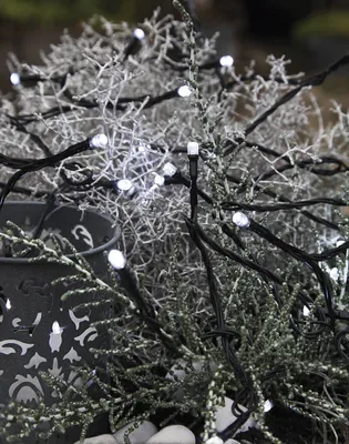 Produktbild von Best Season LED-Lichterkette, 40tlg. Farbe cool white, outdoor, m.Trafo, Kabel:schwarz, 498-18