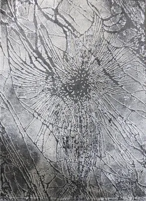 Obrázek produktu pro 200x290 cm Kusový koberec Marvel 7604 Grey