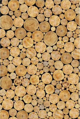 Produktbild von Wallario Poster - Holzstapel rund, Kunstdruck Größe: 100 x 150 cm