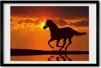Produktbild von Bild 60x40 MDF-Rahmen, Wandkunst Pferd Sonnenuntergang