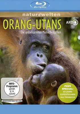 Produktbild von Orang-Utans - Die unbekannten Menschenaffen + Plus Special: 60 Jahre Expeditionen ins Tierreich