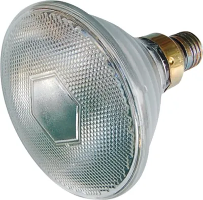 Image de Radiateur infrarouge blanc 175 W PAR AGTECH 5907758821855