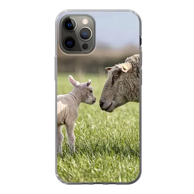 Produktbild von MuchoWow® Handyhülle Schutzhülle Hülle für iPhone 12 Pro Schafe - Gras - Lamm Silikon Softcase Handy Hülle - Abdeckung