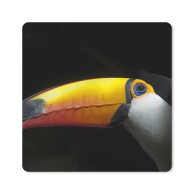 Produktbild von MuchoWow® Mauspad Mousepad Tukan - Vogel - Schnabel 20x20 cm - Mousepads - Maus Mat - Pad - Mausunterlage - Desk Mat - Bureauartikeln