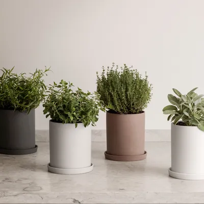 Produktbild von Blomus NONA Kräutertopf, Pflanztopf, Blumentopf, Topf, Porzellan, micro chip, 12.5 cm, 65975
