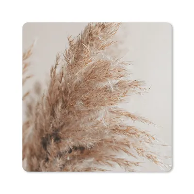 Produktbild von MuchoWow® Mauspad Mousepad Gras - Pflanzen - Natur - Pampasgras 30x30 cm - Mousepads - Maus Mat - Pad - Mausunterlage - Gaming