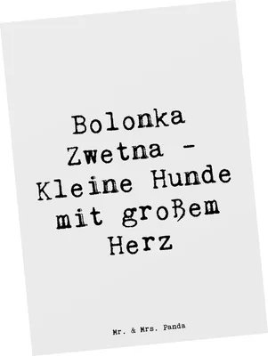 Produktbild von Mr. & Mrs. Panda Postkarte Spruch Bolonka Zwetna Herz - Weiß - Geschenk, Hunderassen Charakter, Hunderasse, Hund, einzelkarte, Eigenschaften, Hundeleben, kleine Hunde