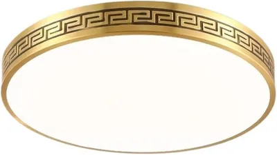Productafbeelding van Moderne Plafondlamp met Ronde LED-Lamp