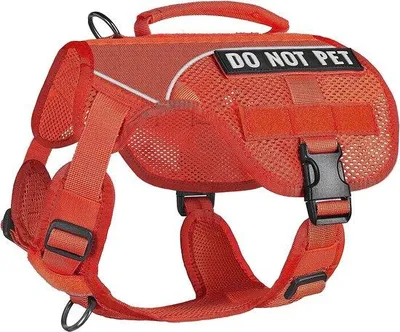 Produktbild von Famanu Hundegeschirr Atmungsaktiv - Orange, Größe S