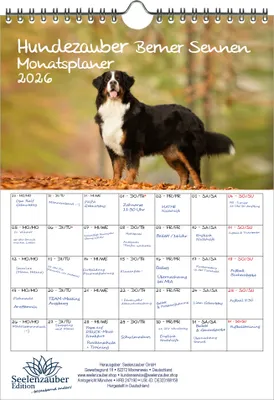 Produktbild von Hundezauber Berner Sennen Planer DIN A4 Kalender für 2026 Welpen und Hunde - Seelenzauber