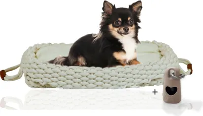 Produktbild von Rohrschneider Flauschiges Katzen- und Hundebett | Weiches Tierbett für Katzen und Hunde | Gemütlicher Schlafplatz für Haustiere | wollweiß mit Gassibeutel, Größe:Größe 1