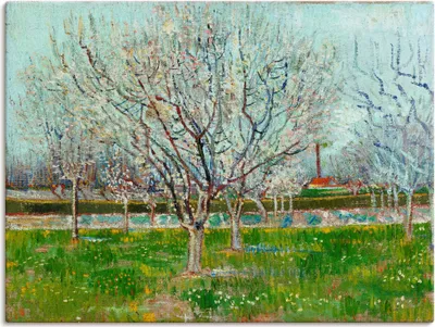 Produktbild von ARTland Leinwandbild Blühender Obstgarten. 1888 Größe: 120x90 cm