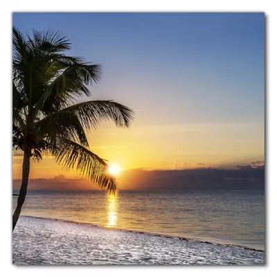 Produktbild von Wallario selbstklebende Möbelfolie/ Tischdecke für Innen und Außen, Größe: 80 x 80 cm - Palme am Strand - Sonnenuntergang über dem Meer