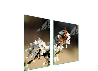 Produktbild von Glasplatte und Schneidebrett 100x52 Pflaume