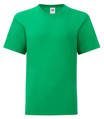 Imagen del producto de Camiseta Fruit Of The Loom Niño Iconic 150 T Verde