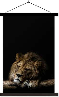 Produktbild von MuchoWow® Textilposter Rüssel - Löwe - Wild 40x60 cm mit schwarzem Rahmen - Wanddekorationen