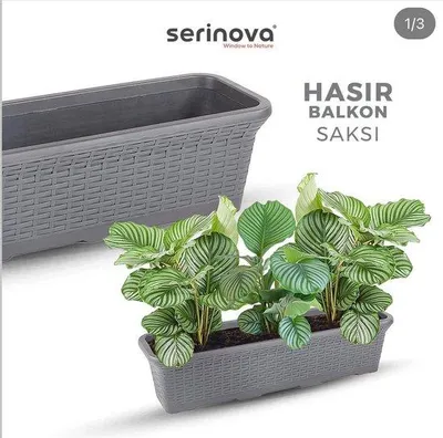 Obrázek produktu pro 1+1 Rieten Květináč 12 l antracitový plast 54 x 20 x 18 s odtokem obdélníkový pro balkon a zahradu