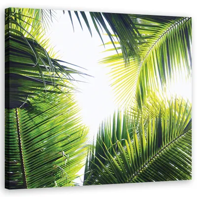 Produktbild von Leinwandbild Palmblätter Pflanzen Natur 60x60 Feeby Grün bild für die wand bereit zum aufhängen