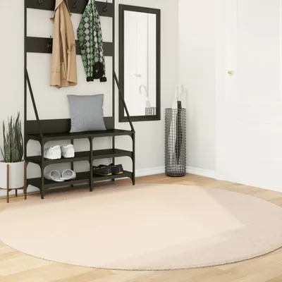 Produktbild von Teppich HUARTE Kurzflor Weich und Waschbar Beige Ø 200 cm 375031
