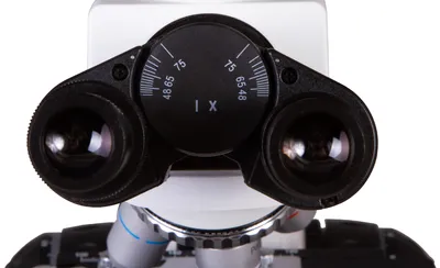 Image de Levenhuk - 73992 - MED 25B Binocular Microscope