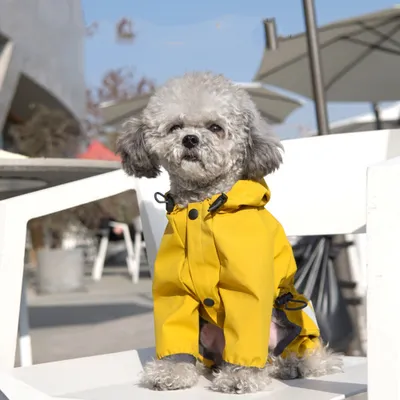 Produktbild von Regenjacke, Verstellbarer wasserdichter Hundemantel mit Kapuze und Beinen, Wasserabweisende Welpenjacke mit langen Reflektorstreifen für kleine und mittelgroße Hunde