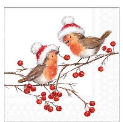 Produktbild von Weihnachten Cocktail Servietten 25x25 cm 3-lagig 20 Servietten Christmas robins white Rotkehlchen mit Weihnachtsmütze