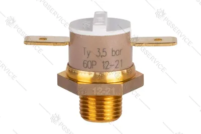 Immagine prodotto di Polti sensore pressostato CAMPINI Ty60 3,5bar 60P Vaporetto Smart 100B 100T 120