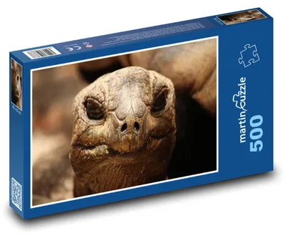 Zdjęcie produktu dla Puzzle 500 Piękno żółwia z bliska - martinpuzzle