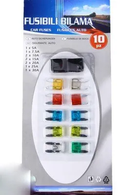 10er-Set Mini-Flachsicherungen 5–30 A mit Zange
