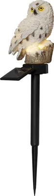 Produktbild von Star Trading 482-25, Leichte Dekorationsfigur, Beige, 1 Glühbirne(n), LED, 0,06 W, Akku