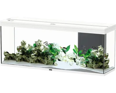 Produktbild von Aquarium aquatlantis Splendid 300 inkl. Beleuchtung, Filter weiß