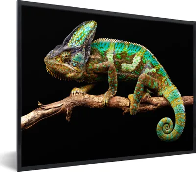 Produktbild von MuchoWow® MuchoWow® Gerahmtes Poster Chamäleon - Zweig - Grün 40x30 cm - Poster mit zchwarzem Bilderrahmen - Kunstposter - Wanddekorationen
