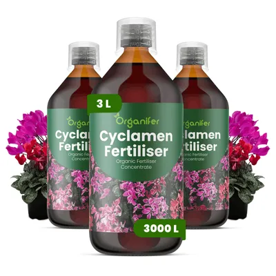 Obrázek produktu pro Cyklámen Tekuté Hnojivo 3x1 L – 2-1-8 NPK – Pro Kvetoucí Rostliny – Pro Zdravé Listy & Bujné Květy – Podporuje Kořeny & Vitalitu – Organifer