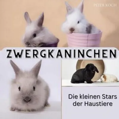 Produktbild von Zwergkaninchen
