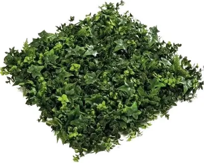 Produktbild von Emerald Künstliche Pflanzenmatte - Noah | 50x50 cm, UV-beständig, für draußen, Kunstpflanze, wie echt, Allergiker geeignet, pflanzliche Dekoration Praxis, Office & Wohnzimmer