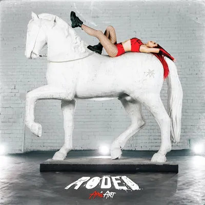 Produktbild von Rodeo