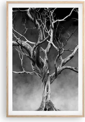Produktbild von Gerahmtes Poster - Rahmen in heller Eiche - Schwarzweiß Äste Rauch - 61x91,5 cm - Wand Bild - Wanddeko - Wandbilder - Wandposter - Bilderrahmen - Bilder - Kunstdruck - Wandbild - P2NPA61x91-4346