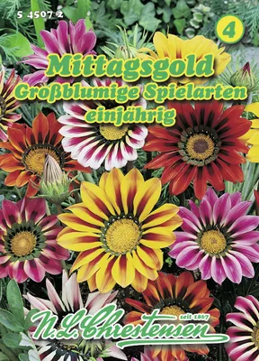 Produktbild von Mittagsgold Großblumige Spielarten | Blumensamen von N.L. Chrestensen