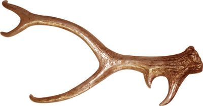 LEX Deko Tisch- & Wand Deko Hirschgeweih ca. 27 x 10 x 67 cm Gold