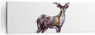 Produktbild von Bild auf Leinwand - Leinwandbild - Liebes Tier Wild Wald - 160x50cm - Wand Bild - Wanddeko - Leinwanddruck - Bilder - Kunstdruck - Wanddekoration - Leinwand bilder - Wandkunst - AB160x50-2938