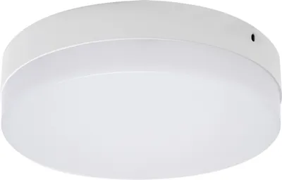 Produktbild von Deckenlampe Aluminium LED rund D: 22 cm Weiß neutralweiß 4000 K 2780 lm