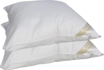 Produktbild von 2 Stück Betten Hofmann Basic Allergiker Kopfkissen Polster 60x70 cm prall 600 g