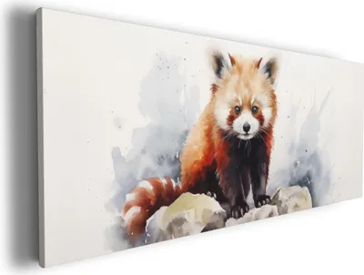 Produktbild von Wallario Premium Leinwandbild Neugieriger Rotpanda in Größe 80 x 200 cm