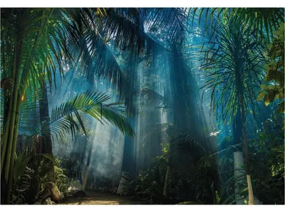 Immagine prodotto di Carta da parati panoramica con motivo giungla preincollata, giungla tropicale, H 250 x L 360 cm