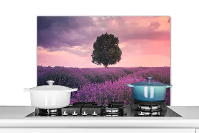 Obrázok produktu pre MuchoWow® Splashback kitchen - kuchynský backsplash - ochrana steny sporáka a drezu - levanduľa - kvety - fialová - strom - príroda 80x55 - alu-dibond (alternatíva skleneného splashbacku) - tepelne odolný - splashback sporáka - ochrana dlaždíc - odolný voči teplote - kryt sporáka - ochrana steny sporáka a drezu