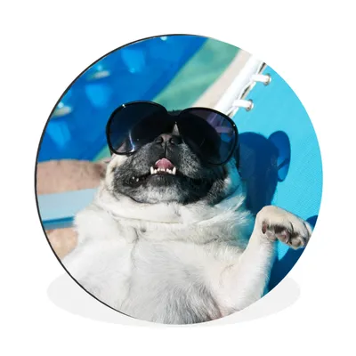 Produktbild von MuchoWow® Aluminium Wandkreis Hund - Lustig - Sonnenbrille - Kinder - Jungen - Mädchen - Kind Ø 30 cm Wanddeko Modern Wohnzimmer - Wand Bild - Wohnzimmer - Runde Bilder - Alubilder - Kunst für zu Hause - Aluminium - Wanddekoration